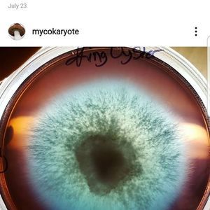 Meet your Posher, Jack